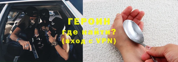 индика Краснослободск