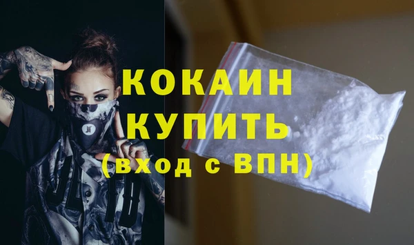 индика Краснослободск