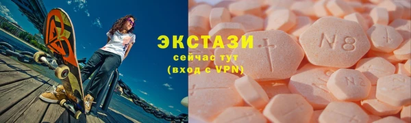 индика Краснослободск