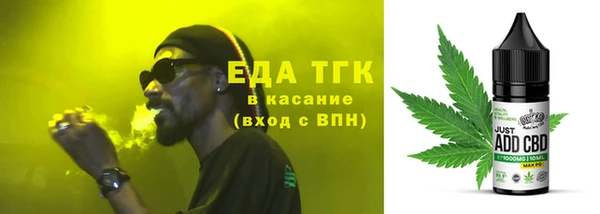 индика Краснослободск