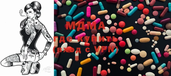 индика Краснослободск