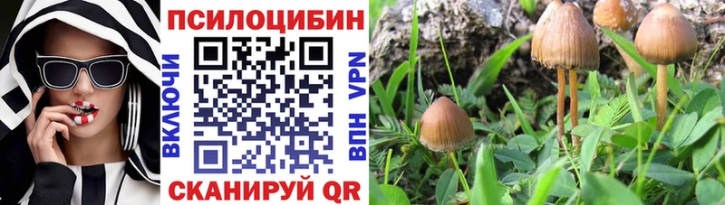 Галлюциногенные грибы прущие грибы  Купить  Далматово 